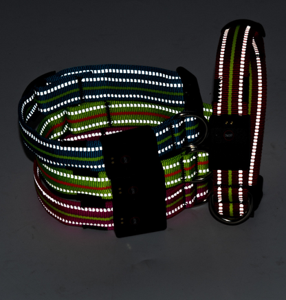 LED Dog Collar with Reflective Strips