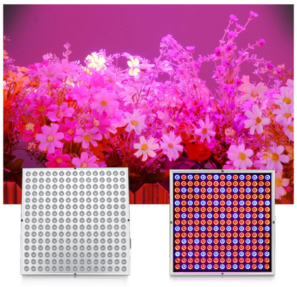 LED Grow Lamp