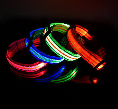 LED Dog Collar with Reflective Strips
