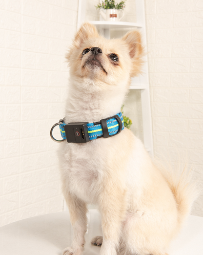 LED Dog Collar with Reflective Strips