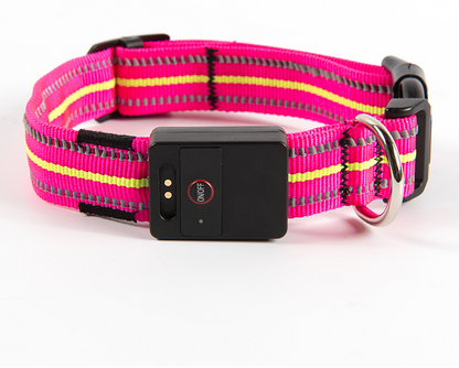 LED Dog Collar with Reflective Strips