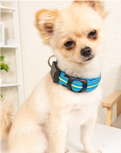 LED Dog Collar with Reflective Strips
